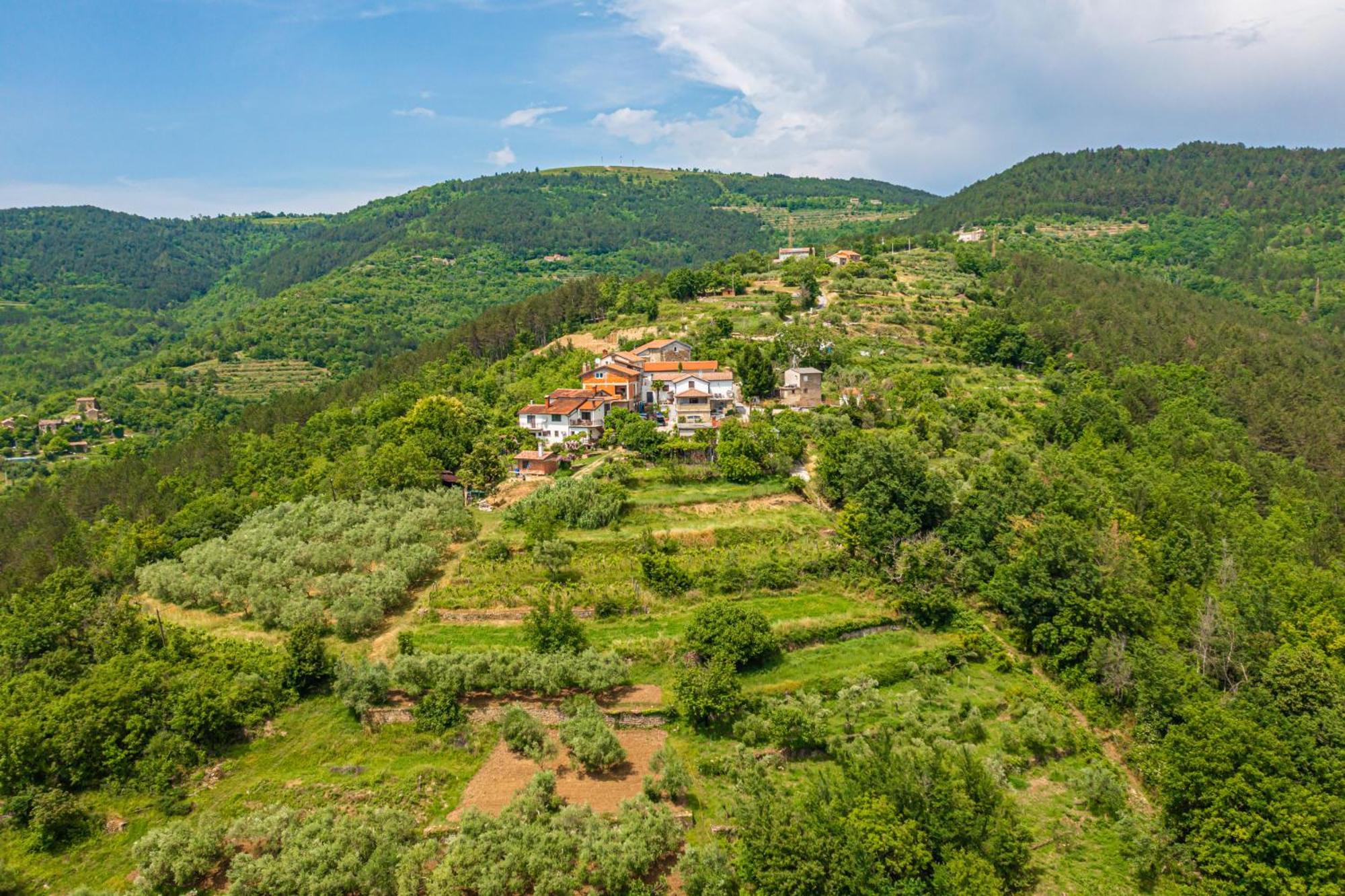 Holiday Home Belveder Motovun Livade Eksteriør bilde