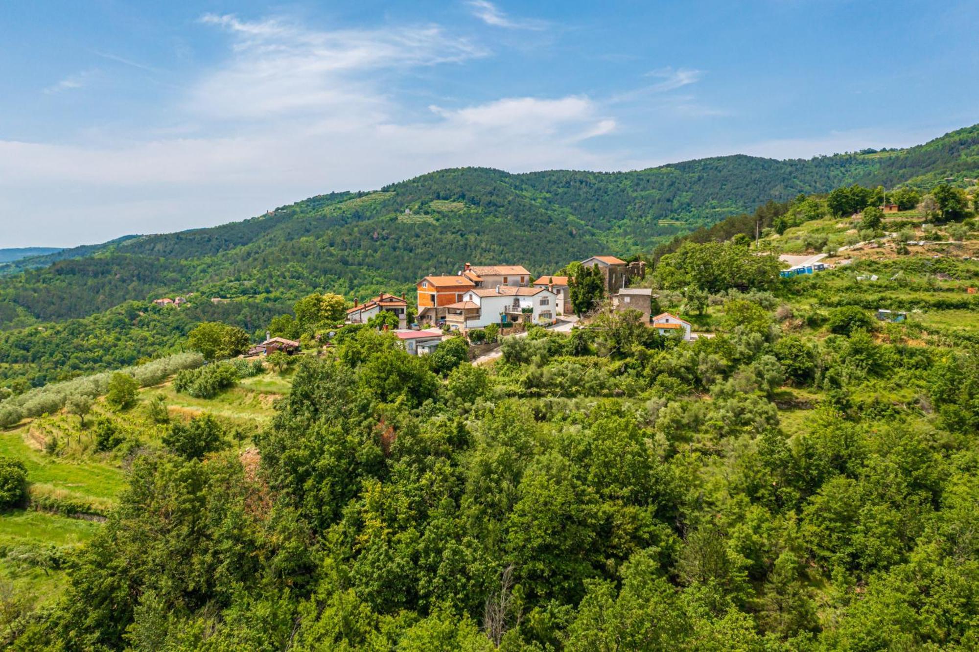 Holiday Home Belveder Motovun Livade Eksteriør bilde