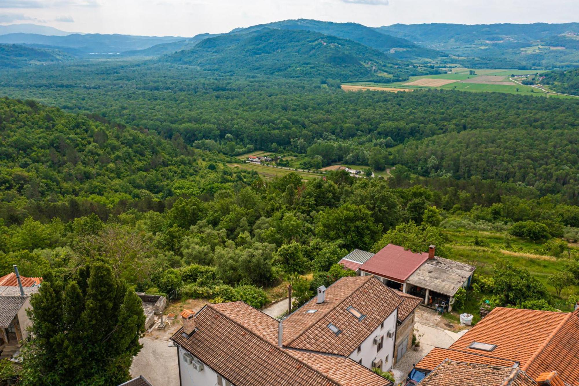 Holiday Home Belveder Motovun Livade Eksteriør bilde